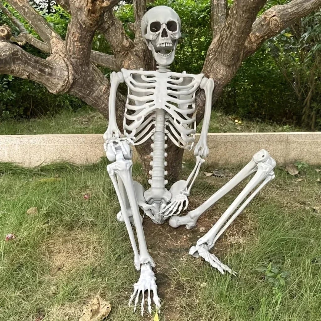 Thermabuild | Halloween Skeleton Decoration Life Size Poseable Articulated Prop for Outdoor Yard and Party Display