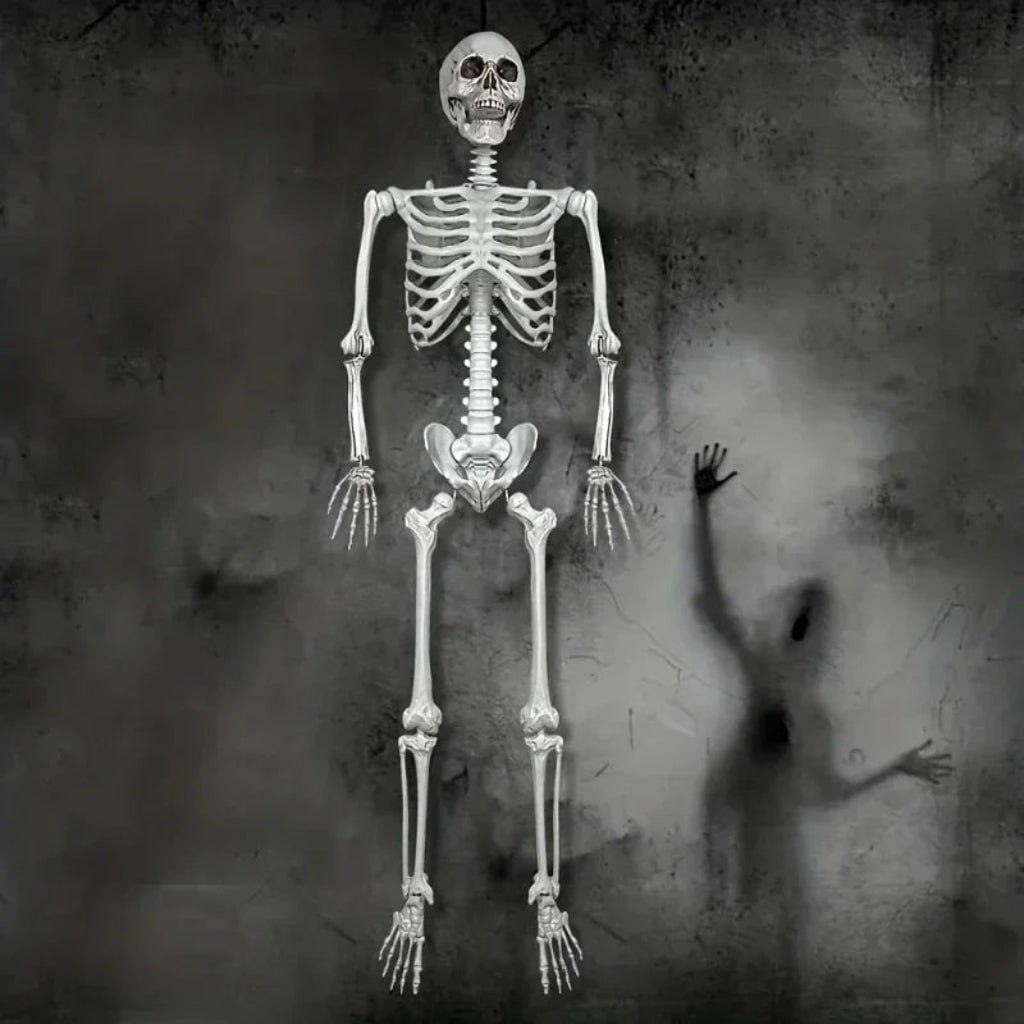 Thermabuild | Halloween Skeleton Decoration Life Size Poseable Articulated Prop for Outdoor Yard and Party Display