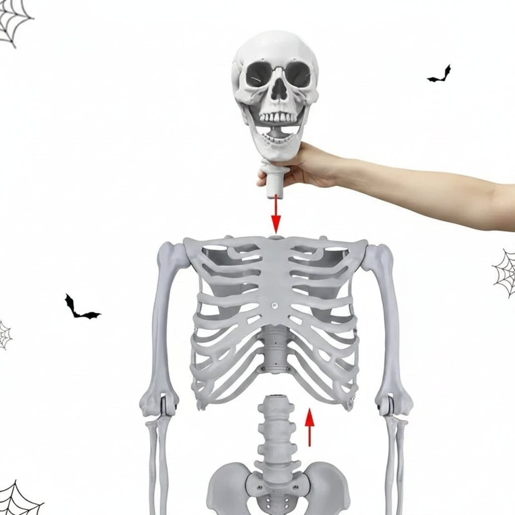 Thermabuild | Halloween Skeleton Decoration Life Size Poseable Articulated Prop for Outdoor Yard and Party Display