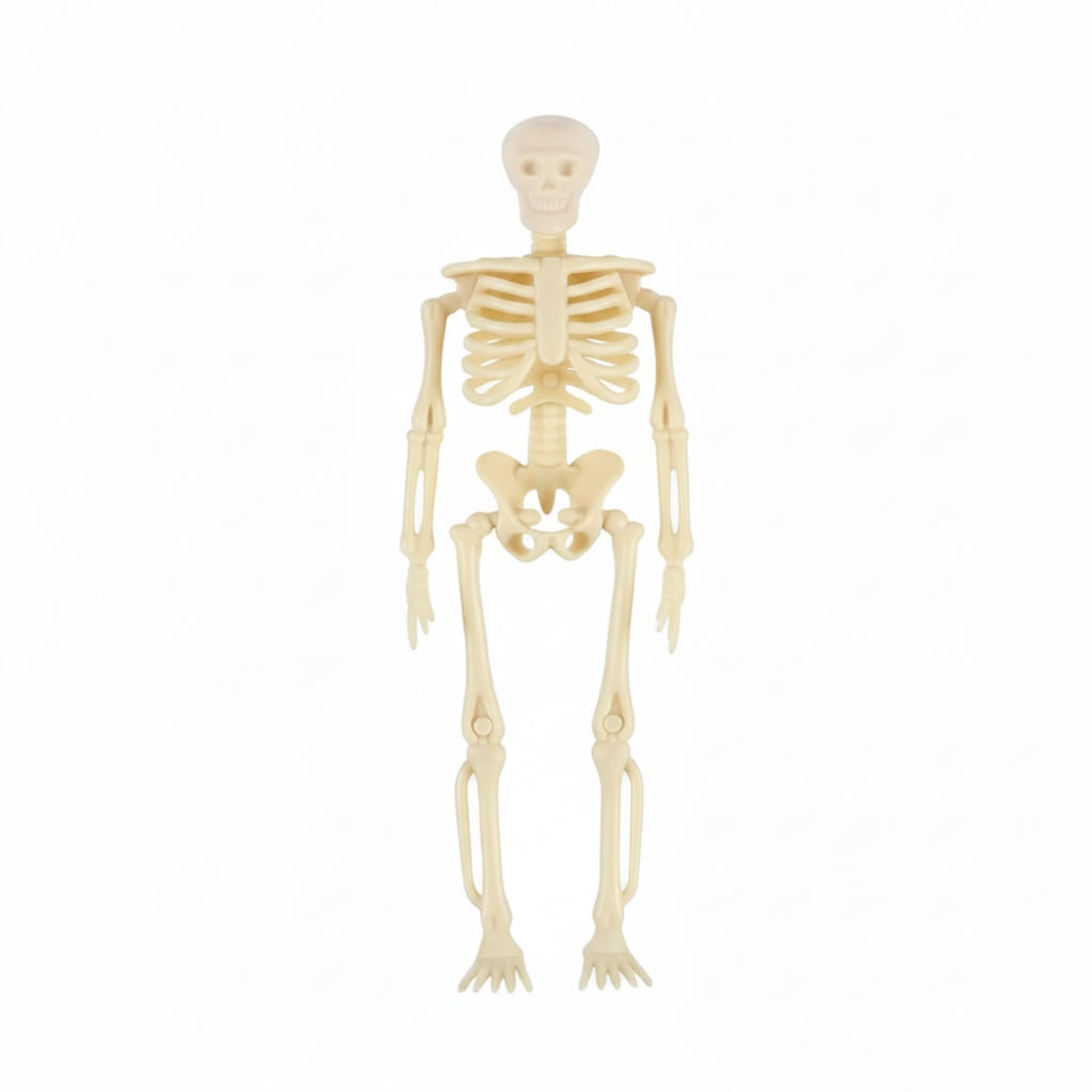 Thermabuild | Halloween Skeleton Decorations Mini Plastic Posable Figurines with Jute Twine for Party and Haunted