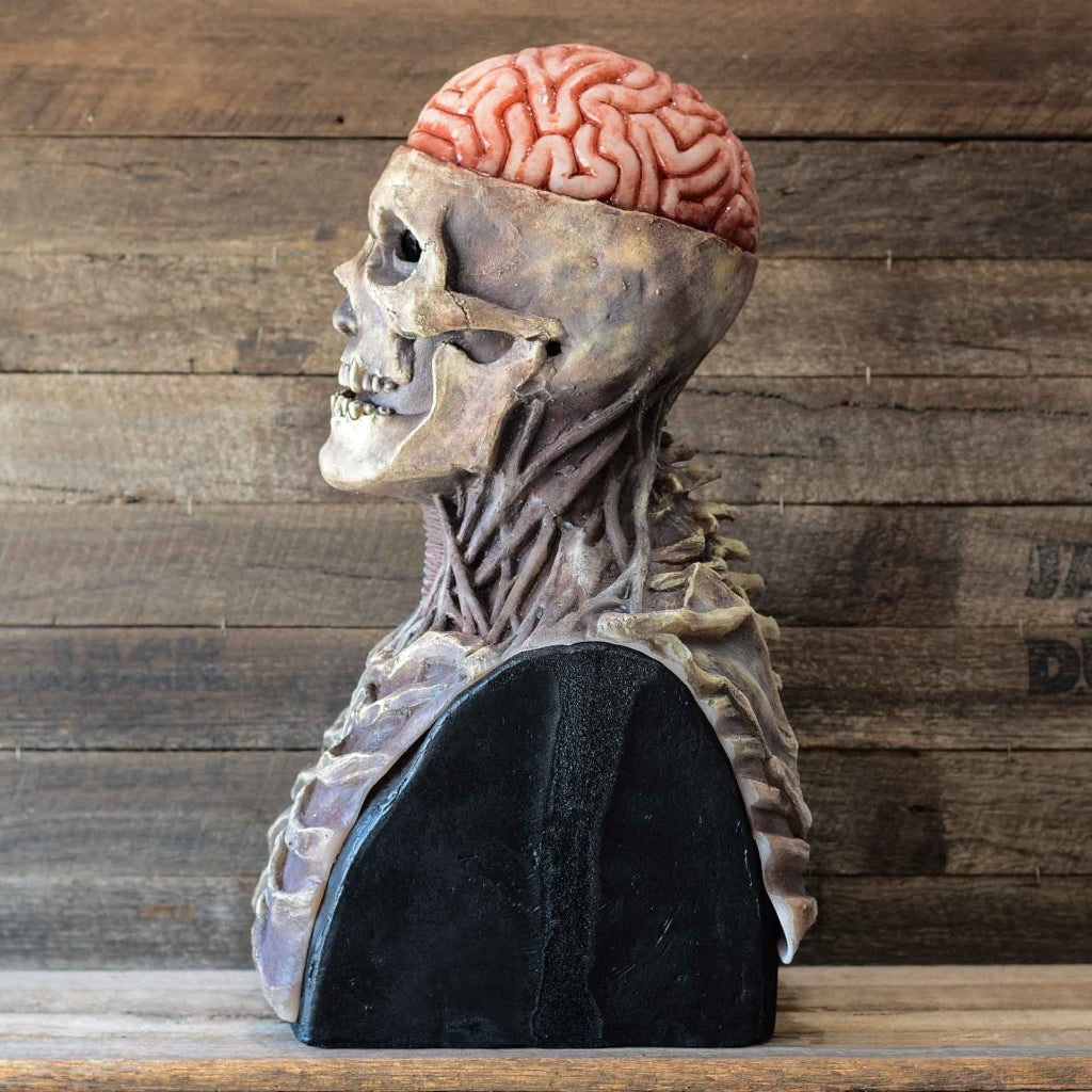 Thermabuild | Halloween Skull Mask Horror with Exposed Brain and Chest Bib Full Head Latex Skeleton Creepy Costume