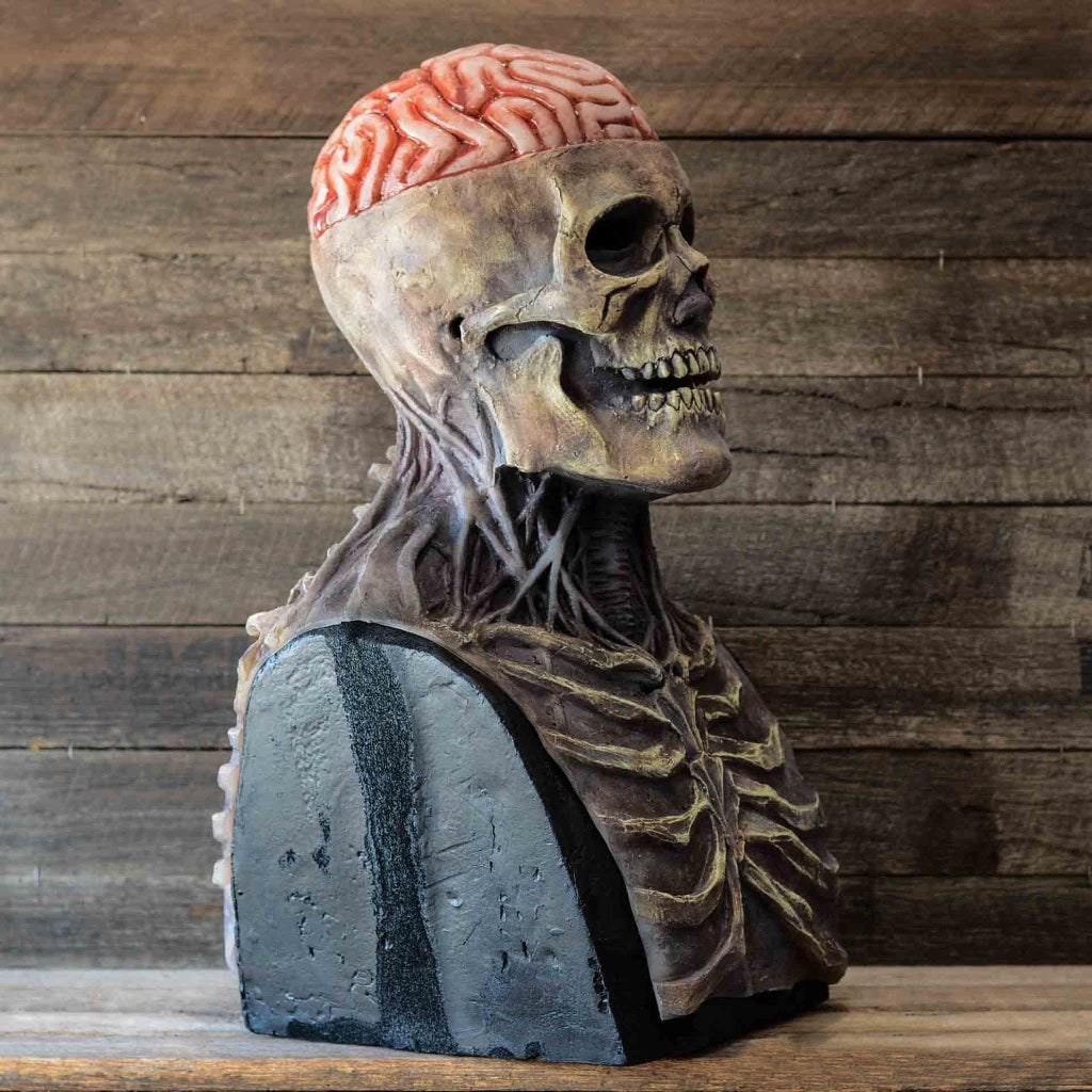 Thermabuild | Halloween Skull Mask Horror with Exposed Brain and Chest Bib Full Head Latex Skeleton Creepy Costume
