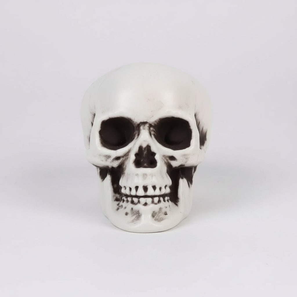 Thermabuild | Halloween Skull Props and Sugar Decorations Set of 10 Mini Plastic for Party