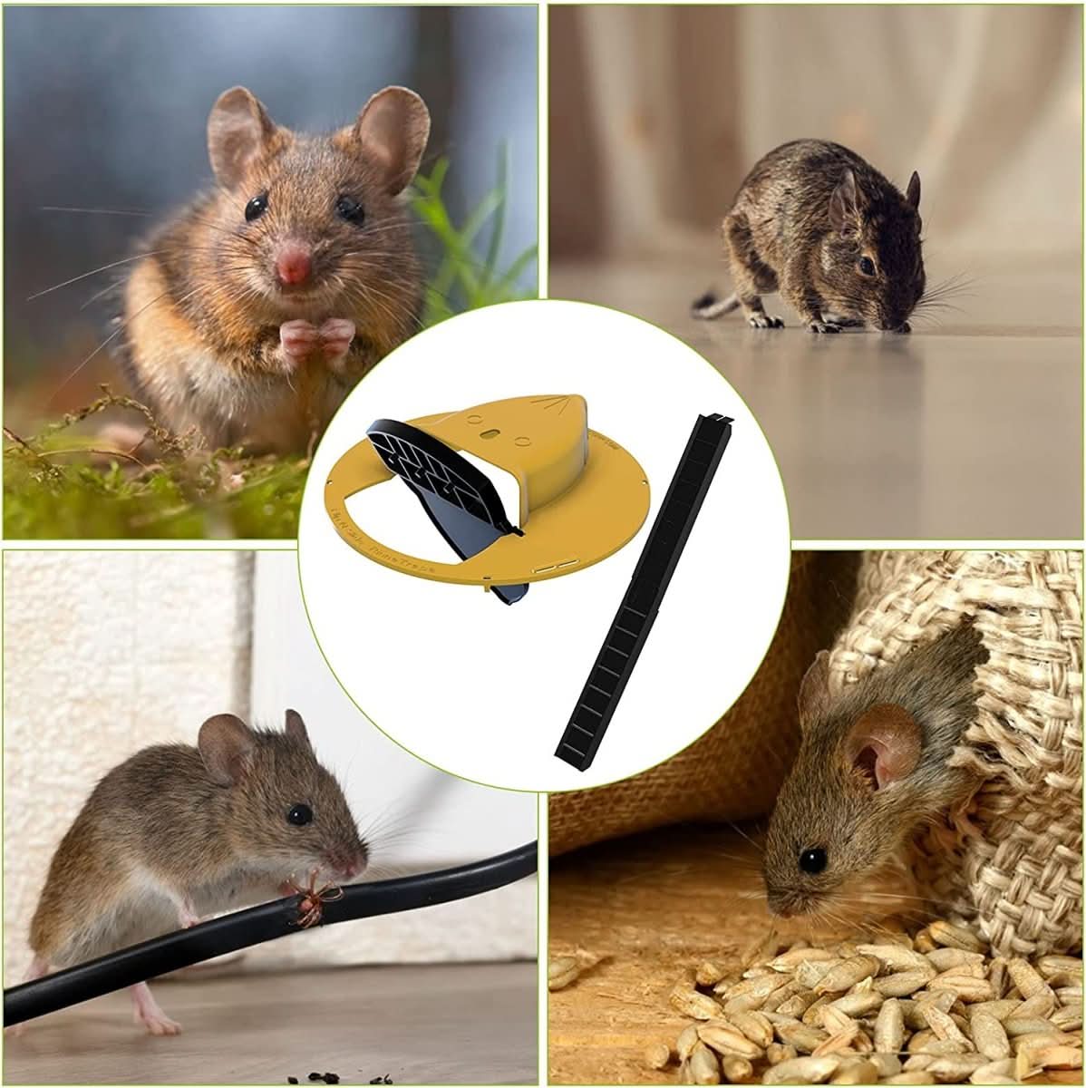 Thermabuild | Humane Bucket Lid Mouse Trap for Multi-Catch & Release