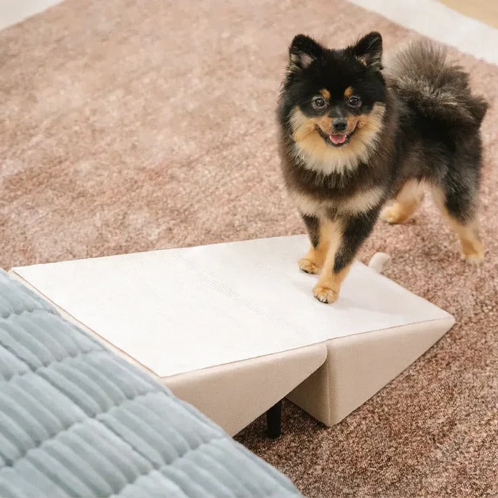 Thermabuild | 2-in-1 Convertible Dog Ramp and Step Stool