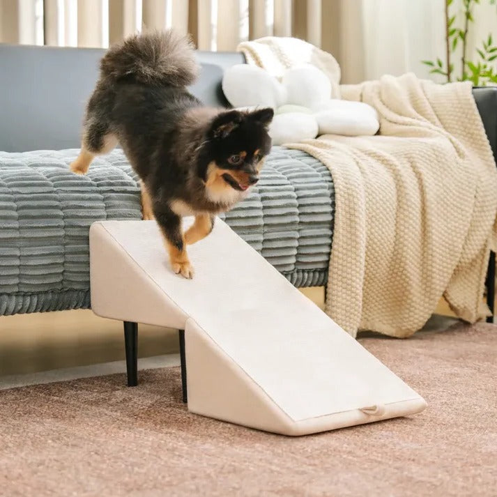 Thermabuild | 2-in-1 Convertible Dog Ramp and Step Stool
