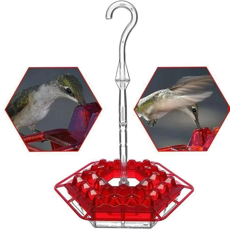 Thermabuild | Ant Proof Hummingbird Feeder Outdoor Hanging Perch