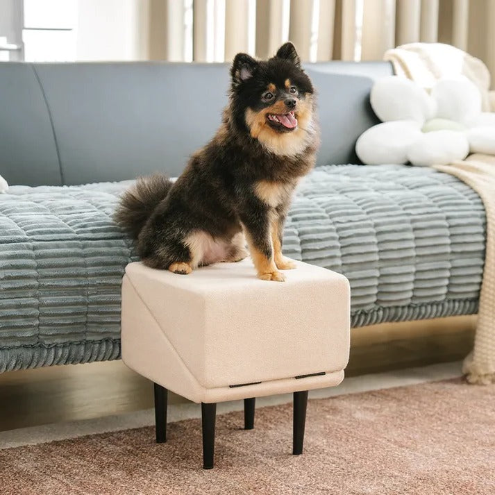 Thermabuild | 2-in-1 Convertible Dog Ramp and Step Stool