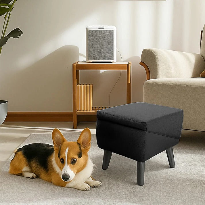 Thermabuild | 2-in-1 Convertible Dog Ramp and Step Stool