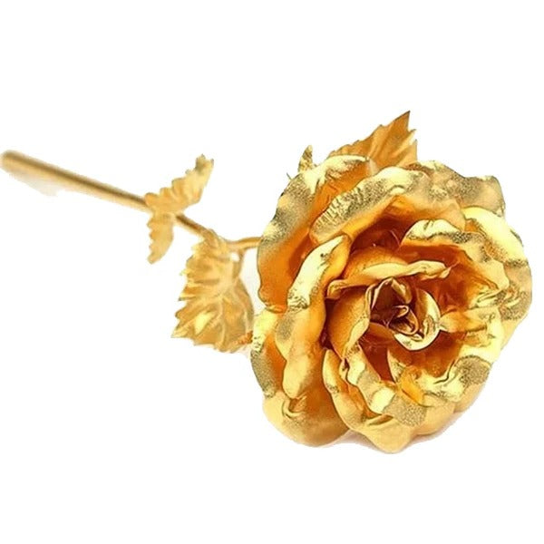 Thermabuild | 24K Gold Dipped Real Rose with Gift Box