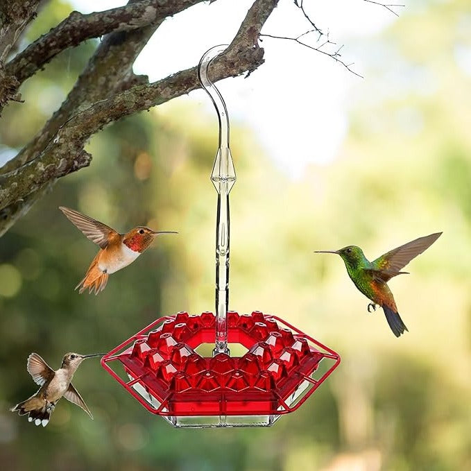 Thermabuild | Ant Proof Hummingbird Feeder Outdoor Hanging Perch