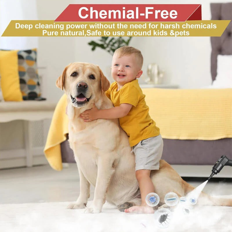 Thermabuild | 2500W High Pressure Steam Cleaner with Gloves