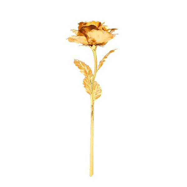 Thermabuild | 24K Gold Dipped Real Rose with Gift Box