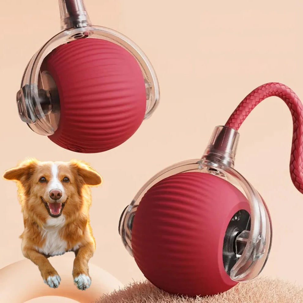 Thermabuild | Active Rolling Ball with Tail for Dogs