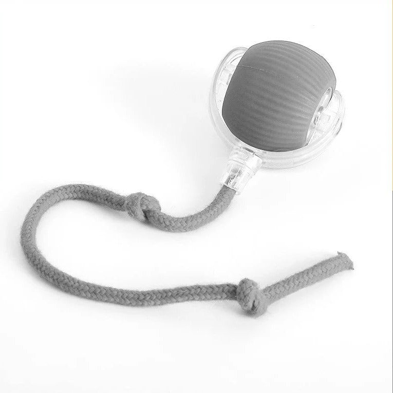 Thermabuild | Active Rolling Ball with Tail for Dogs