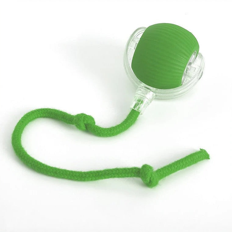 Thermabuild | Active Rolling Ball with Tail for Dogs