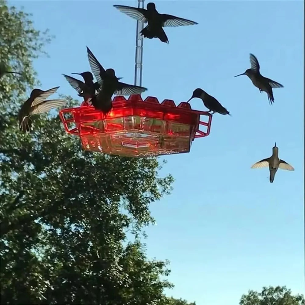 Thermabuild | Ant Proof Hummingbird Feeder Outdoor Hanging Perch