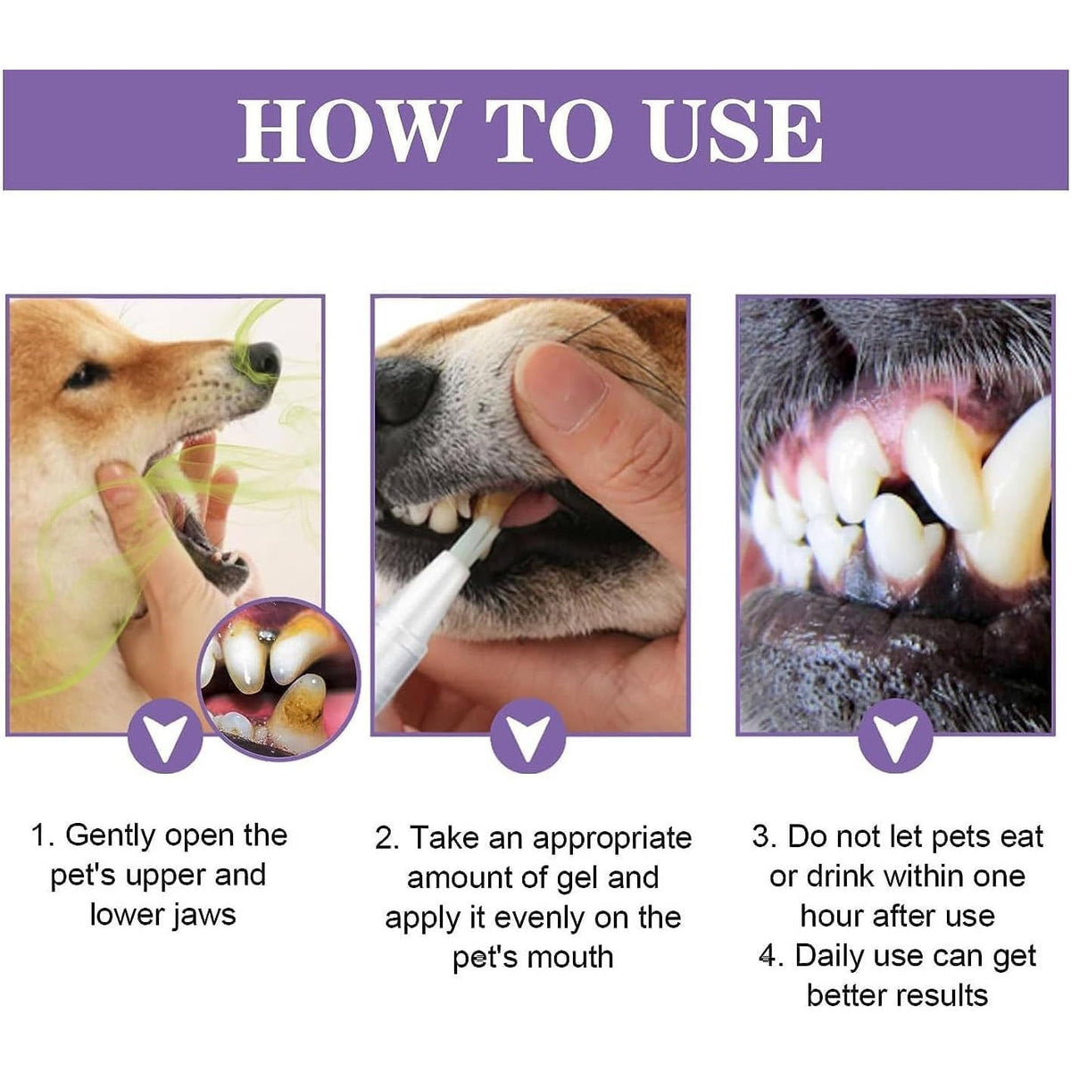 Thermabuild | 3 Set Dog Oral Repair Gel
