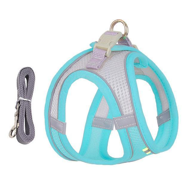 Thermabuild | Adjustable Harness and Leash Set for Small Dogs and Cats