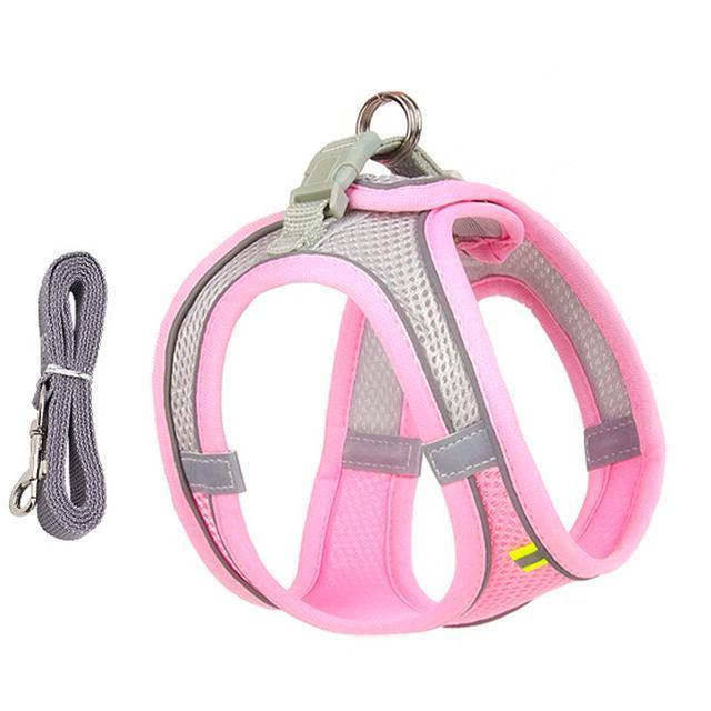 Thermabuild | Adjustable Harness and Leash Set for Small Dogs and Cats