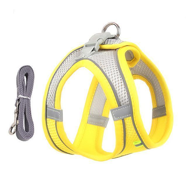 Thermabuild | Adjustable Harness and Leash Set for Small Dogs and Cats