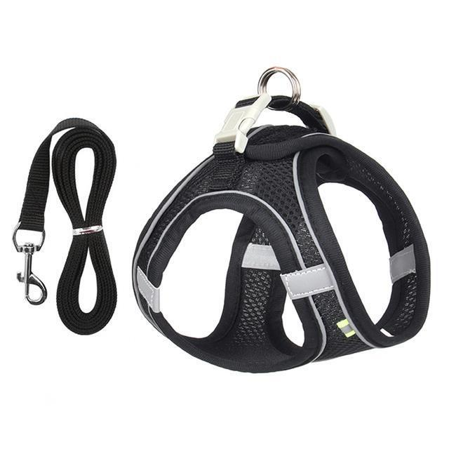 Thermabuild | Adjustable Harness and Leash Set for Small Dogs and Cats