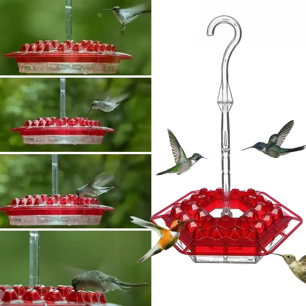 Thermabuild | Ant-Proof Hummingbird Feeder with 30 Bee-Resistant Ports