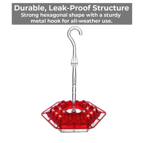 Thermabuild | Ant-Proof Hummingbird Feeder with 30 Bee-Resistant Ports