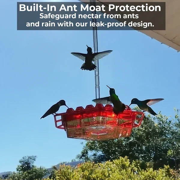 Thermabuild | Ant-Proof Hummingbird Feeder with 30 Bee-Resistant Ports