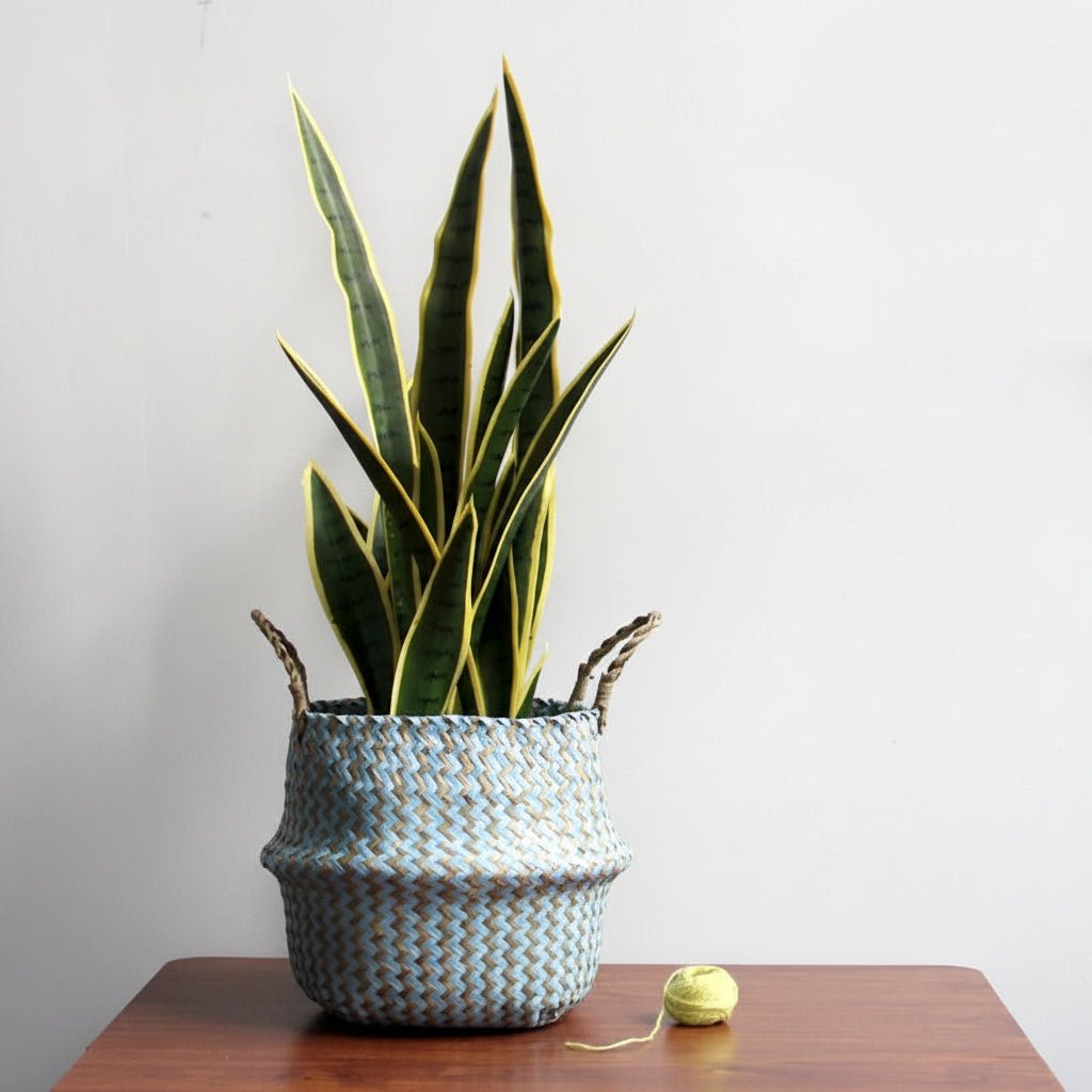 Thermabuild | Boho Handmade Wicker Basket Collapsible Flower Pot Organizer