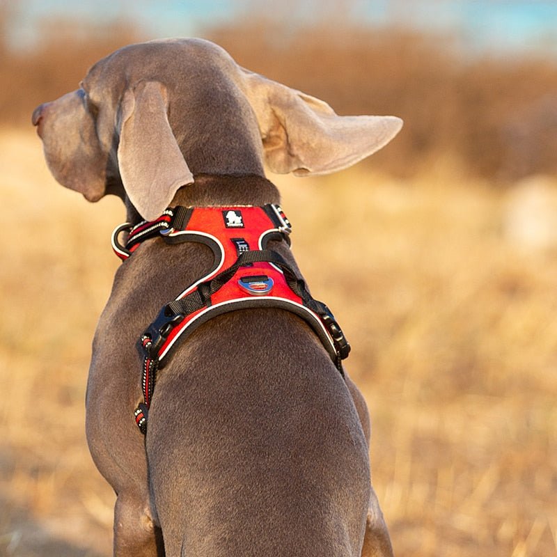 Thermabuild | Reflective Nylon Dog Harness - Adjustable No-Pull Pet Vest with Padded Safety Straps for Small to Large Dogs - Night Visibility Walking Gear